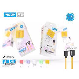 CHARGER PINZY ORIGINAL T31