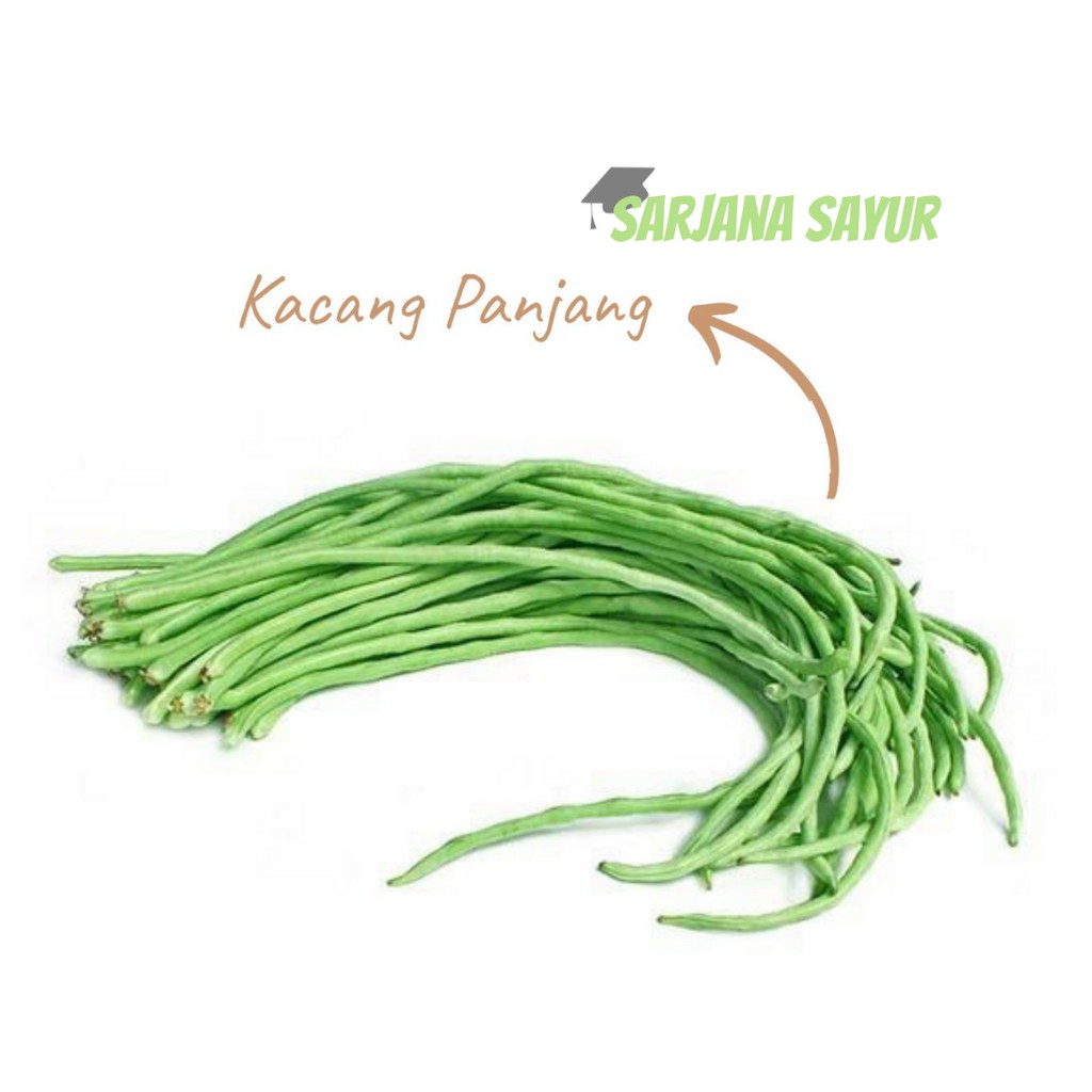 

Kacang Panjang 200gr / Sarjana Sayur