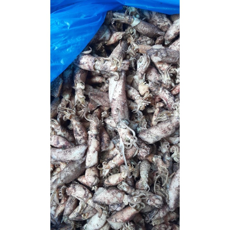 

cumi asin