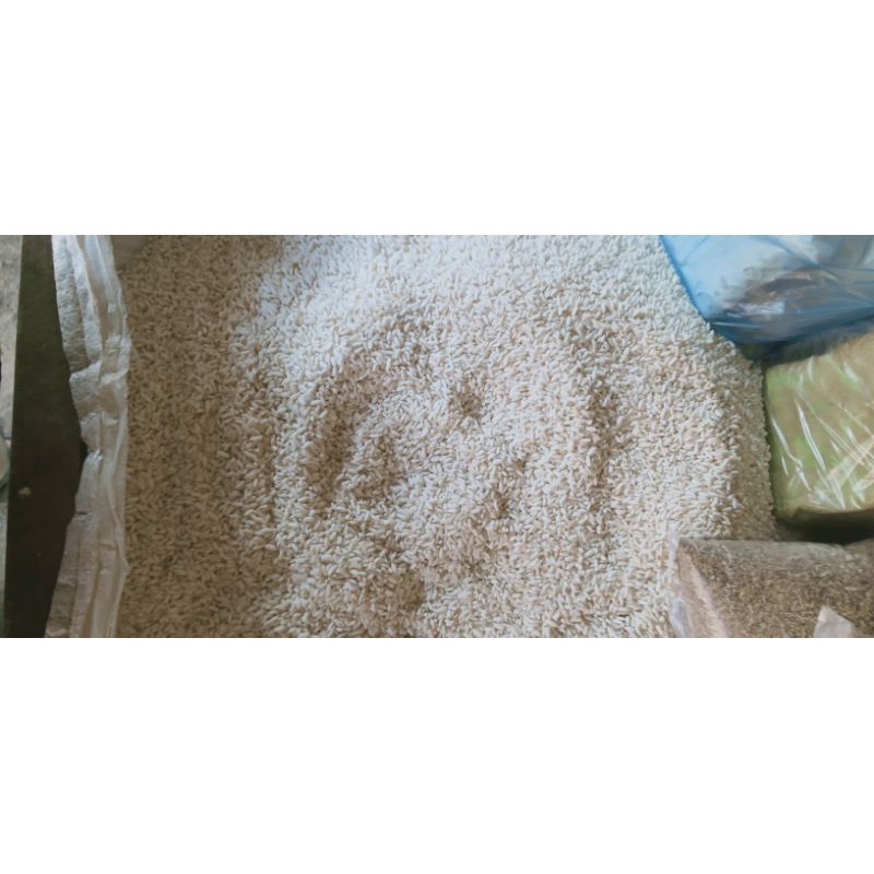 

Ketan Putih Thailand 1Kg an