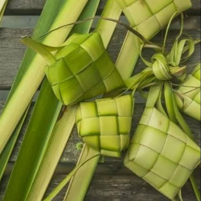 DAUN KELAPA MUDA JANUR KELAPA