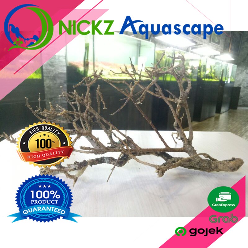 KAYU AQUASCAPE / SANTIGI PASIR SIZE S / MOTIF RANDOM / BERKUALITAS / TERMURAH