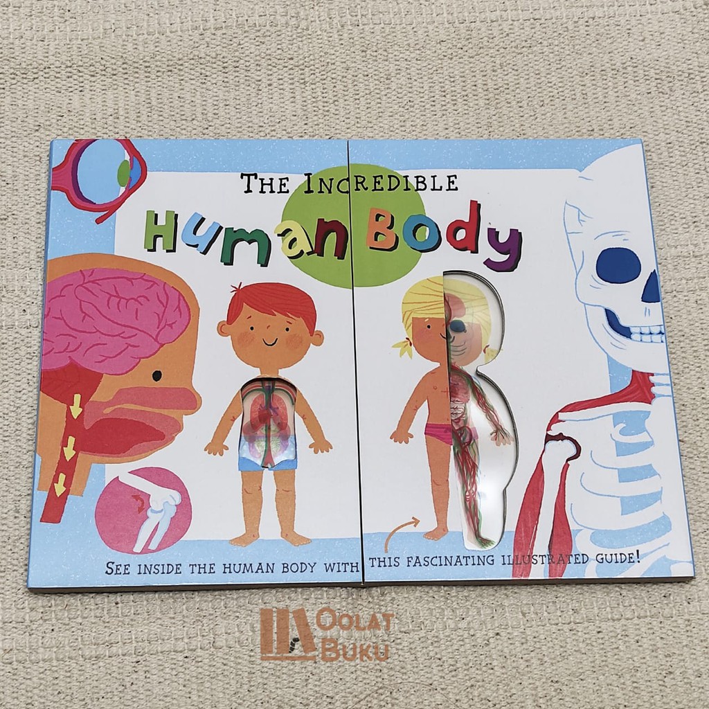 THE INCREDIBLE HUMAN BODY