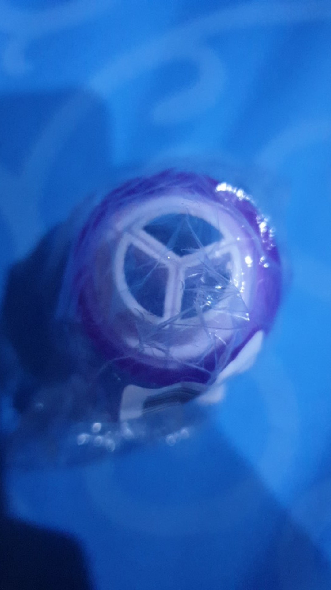 Coupler Spuit Rusia 3 Warna