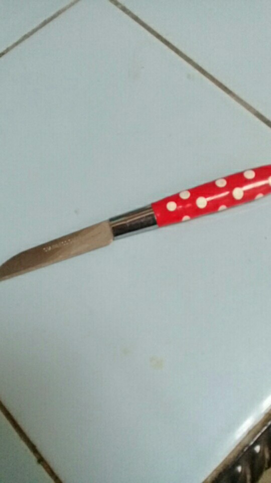 Pisau Buah Polkadot Pisau Dapur Kupas Buah Sayur Tajam Bagus