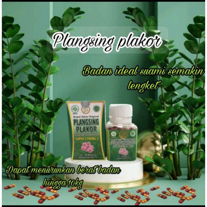

pelangsing pelakor