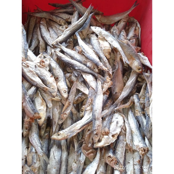 

ikan asin japun peda 1 kg