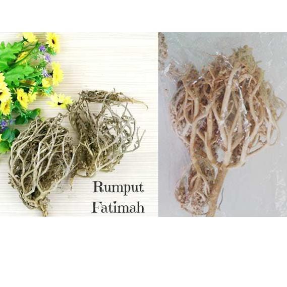

☻ HERBAL PELANCAR PERSALINAN RUMPUT FATIMAH SANGAT BAGUS BUAT IBU HAMIL JUGA, ORIGINAL ARAB SAUDI buruan