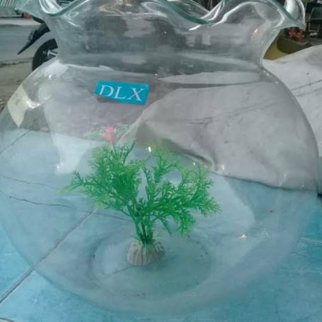 Fish ball / toples aquarium 7 liter