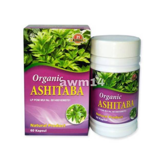 Organic Ashitaba (Seledri Jepang) 60 Kapsul Herbal 21
