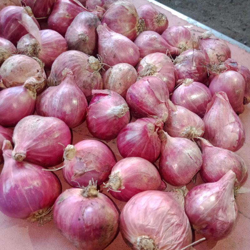 

Bawang,merah