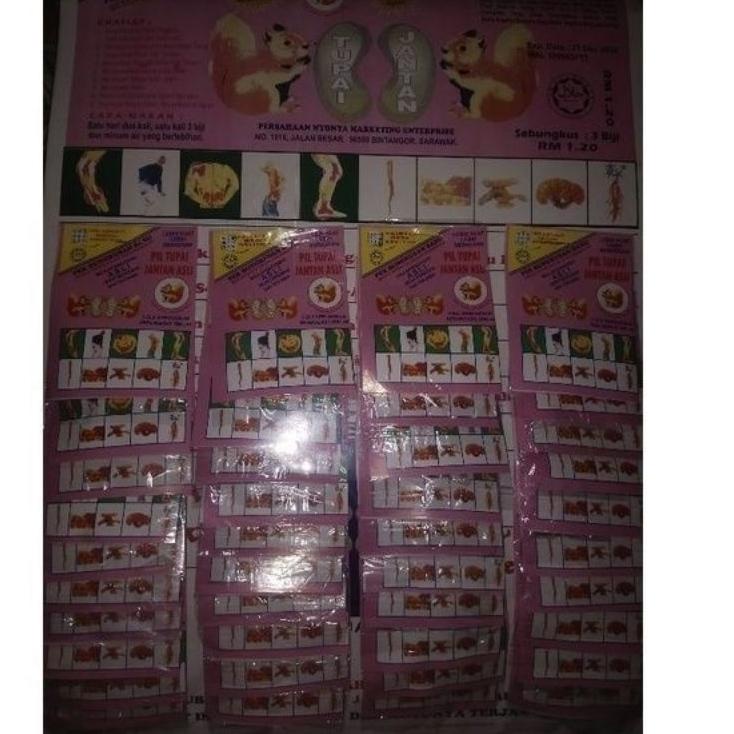 

[PRODUK LPVEQ] pil Tupai jantan asli HTL