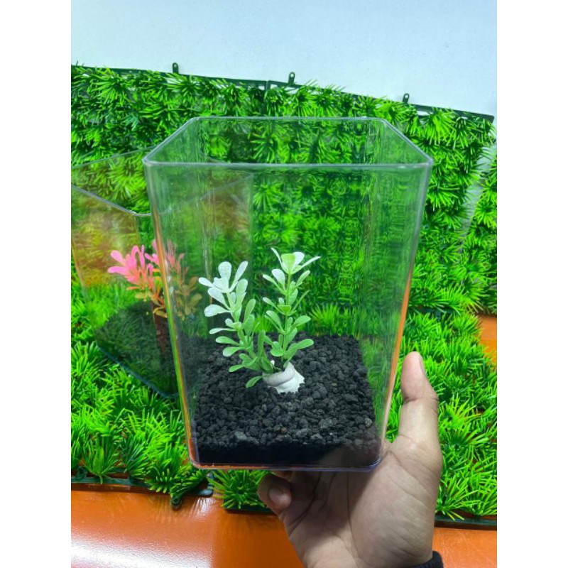 Mini aquarium hiasan FULLSET , aquarium mika untuk cupang, mini fish