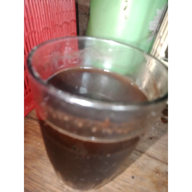 

kopi lampung