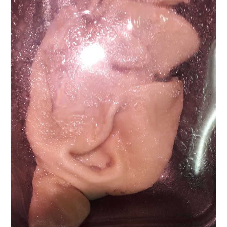 

babat kambing fresh pack