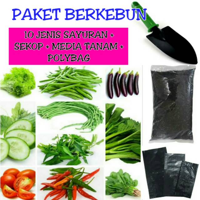 PAKET HEMAT BERKEBUN