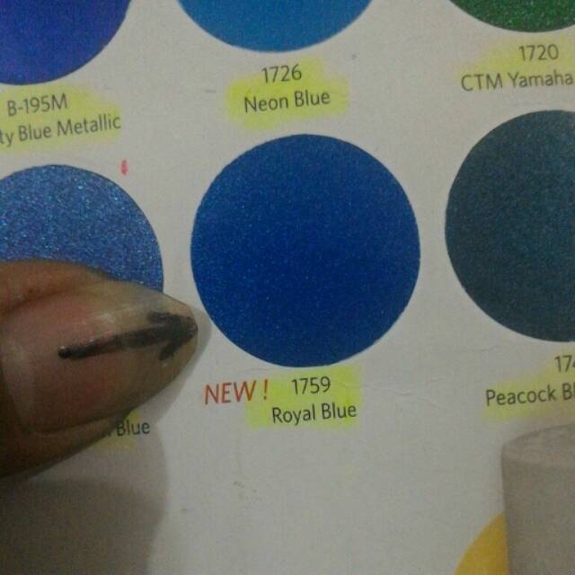 Pylox pilox biru royal  blue  1759 cat  spray cat  semprot 