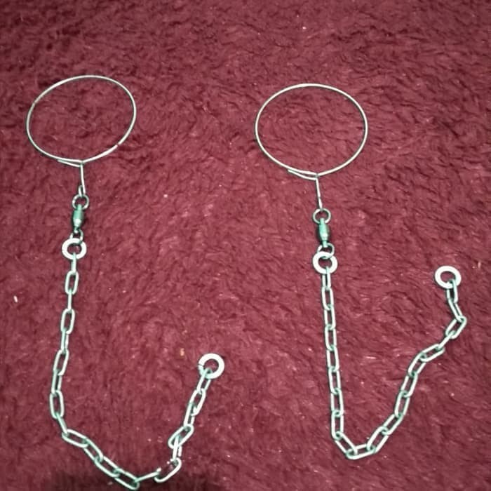 Rantai Afgrey / Macaw / Kakatua