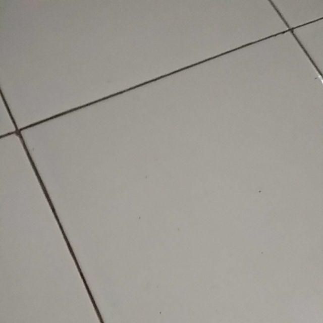 Rak Piring Stainless 2 Susun