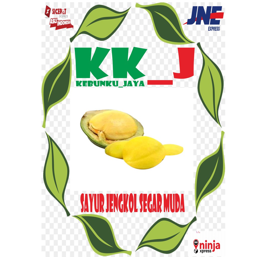 

SAYUR JENGKOL MENTAH 500GRAM MURAH