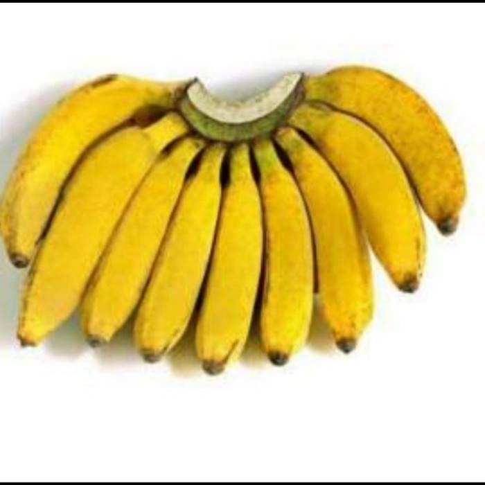 

pisang raja bulu super 1sisir /pisang raja