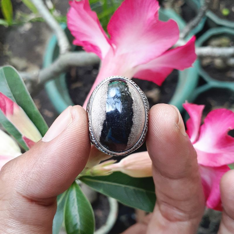 Batu Fosil Kayu Kelor Kendit