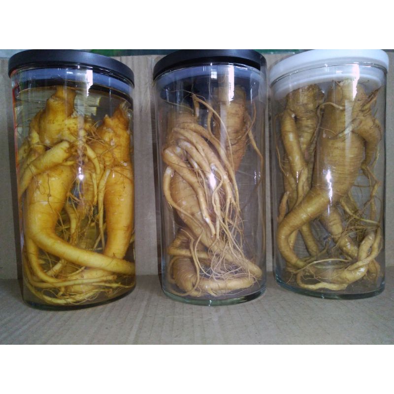 akar Ginseng Merah Korea Jumbo+ Botol (1050)ml Cod