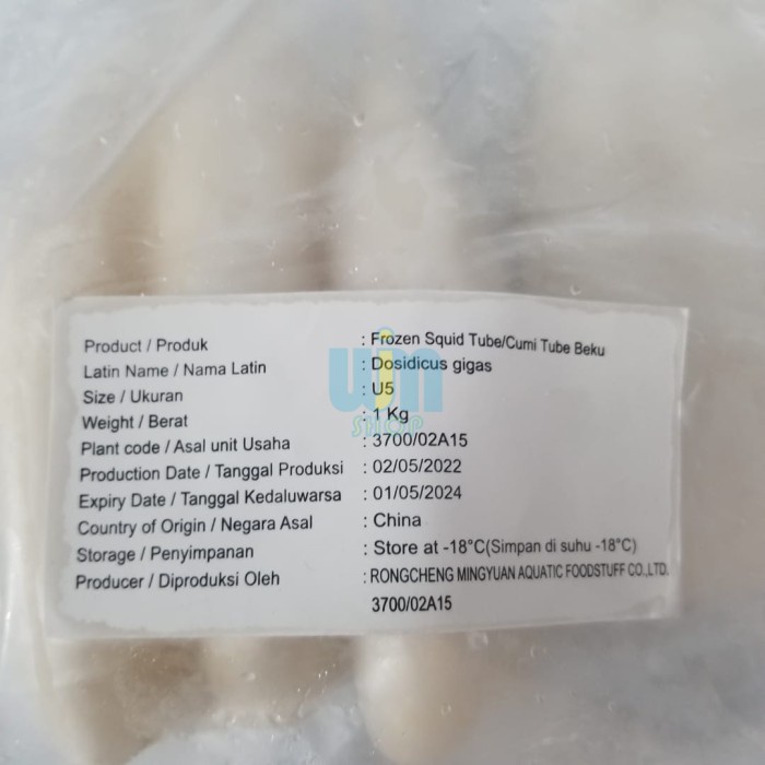Cumi Kupas Tube 1kg Frozen Food Makassar