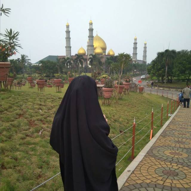 salmia_hsb94