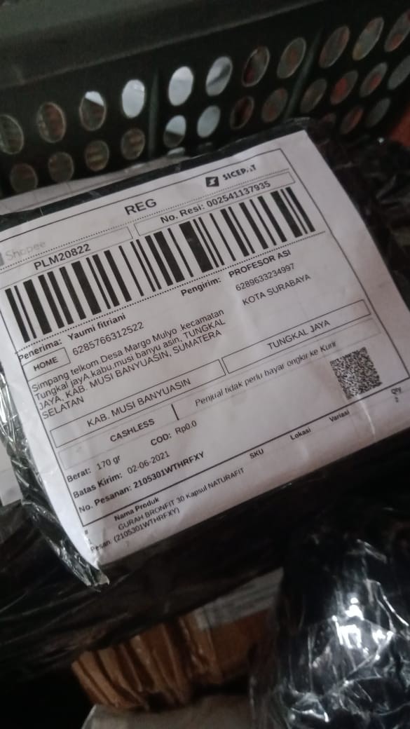 Grosir Gordeng Pintu Karakter/horeng Pintu Murah