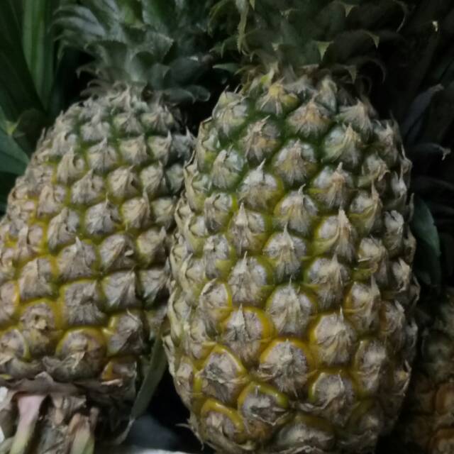 

Buah Nanas palembang