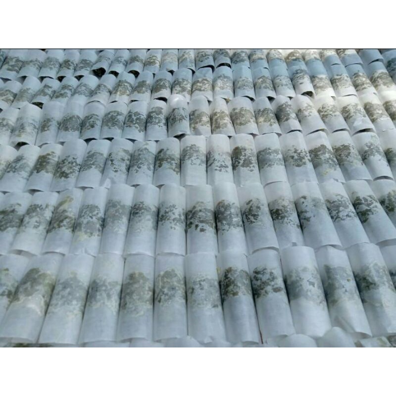 

wajik kacang ijo 1 pack (10pcs)