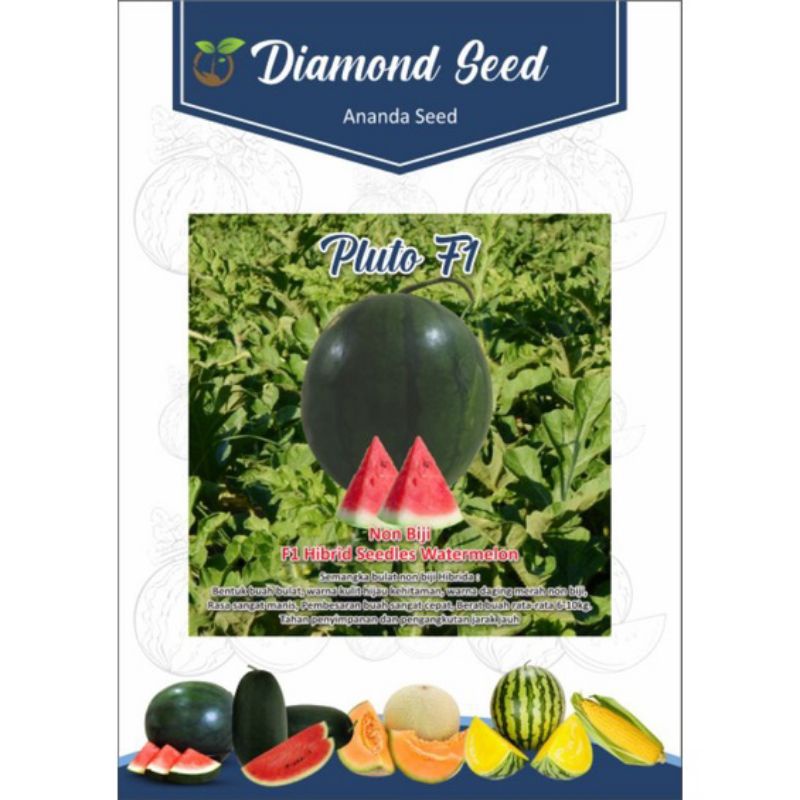 benih semangka unggul Pluto F1 non biji bulat