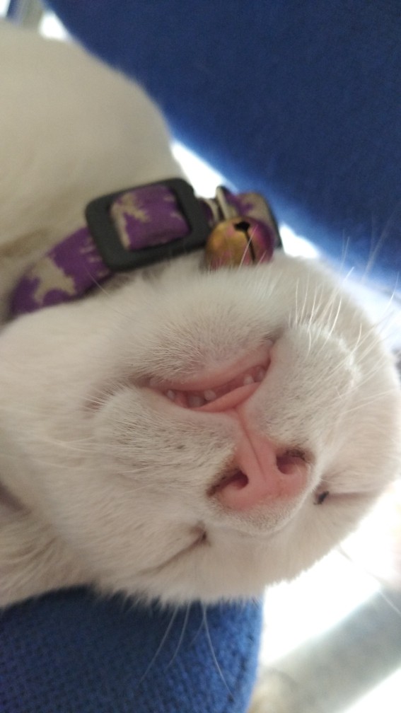 Batik Couple - Batik Wanita - Batik Pria  Model Kekinian Trendy By Batik Dua Putri Collection