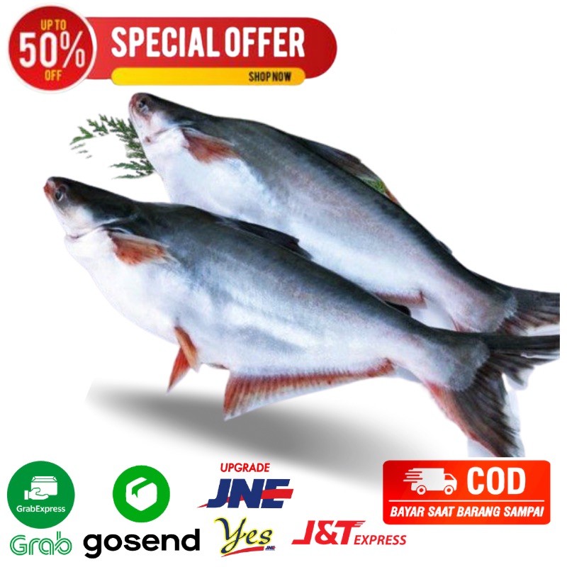 

ikan fatin 500 gram ikan segar fresh bandung