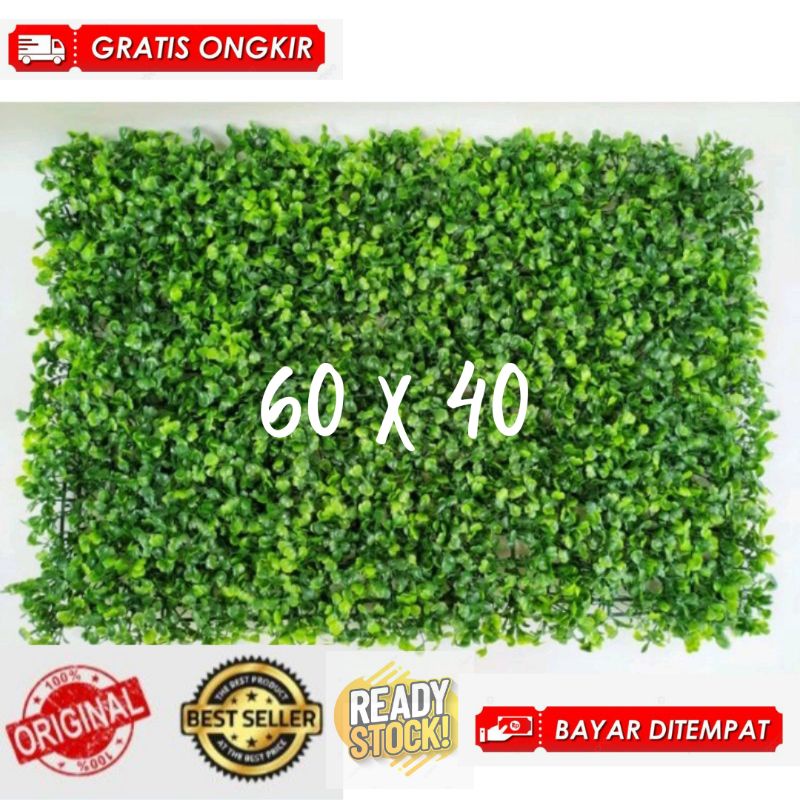 Spesial Promo Daun Dollar Sintetis / Daun Dollar Sintetis / Daun Dolar Ukuran 40 x 60 Cm / Daun Doll