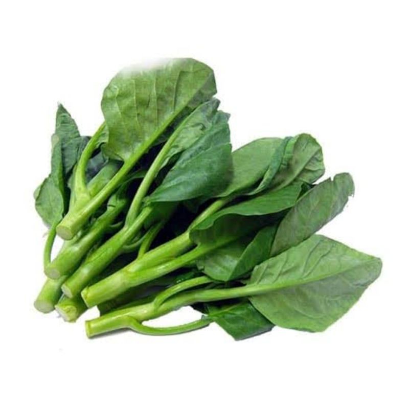 

[SAYUR EMAK] (ORGANIK) DAUN KAILAN 0,5-1KG / PRODUK LANGKA