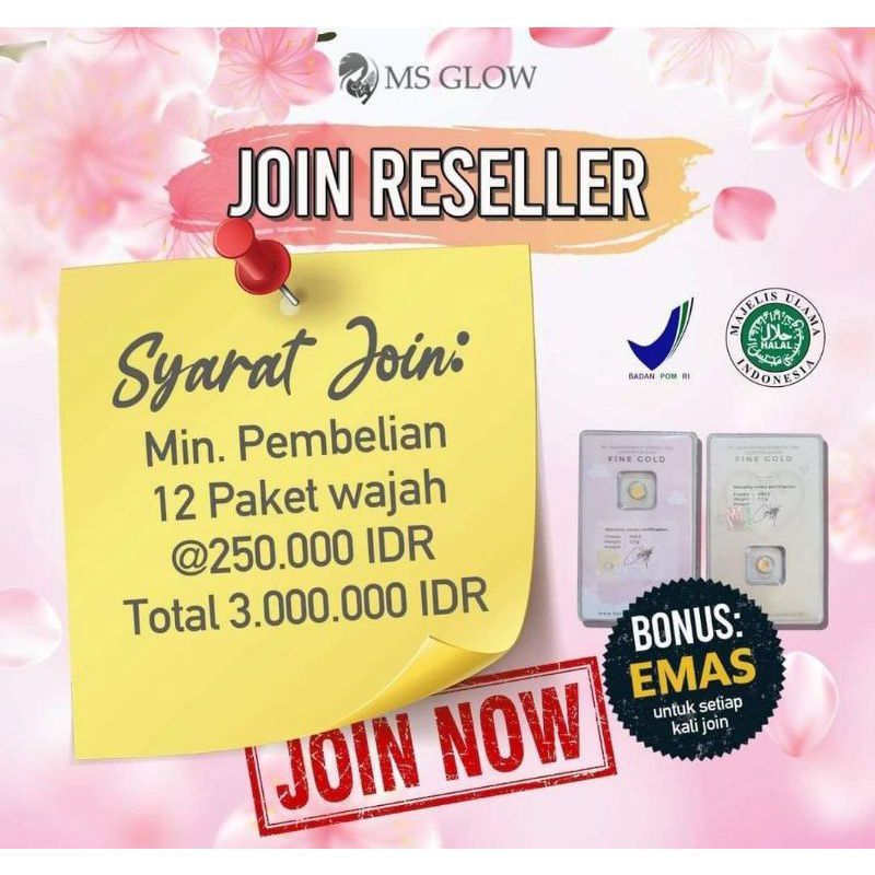 JOIN RESELLER RESMI MSGLOW