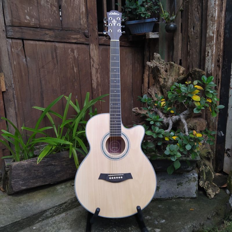 

Gitar Akustik Calao CA 20C Original made in China