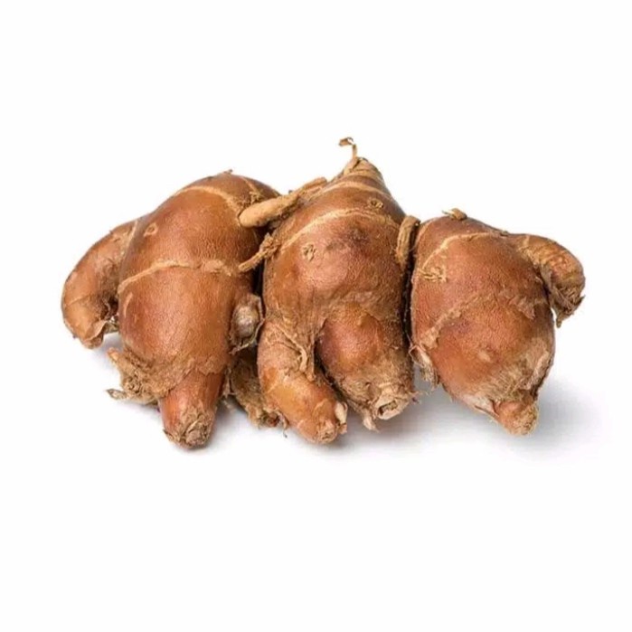 

500g KENCUR MURAH TUA SEGAR ALAMI