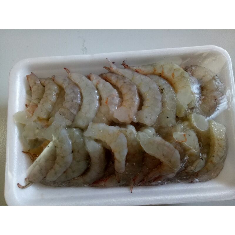 

Udang Laut ( Pekalongan Only )