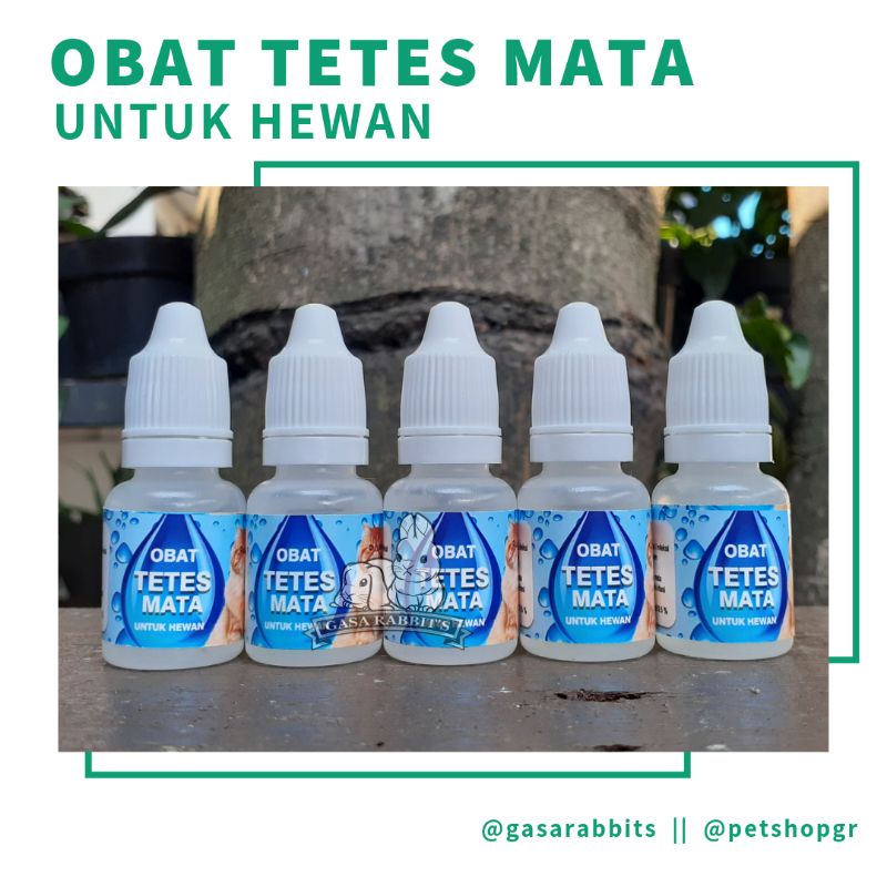OBAT TETES MATA HEWAN - OBAT TETES MATA KUCING - OBAT TETES MATA KELINCI