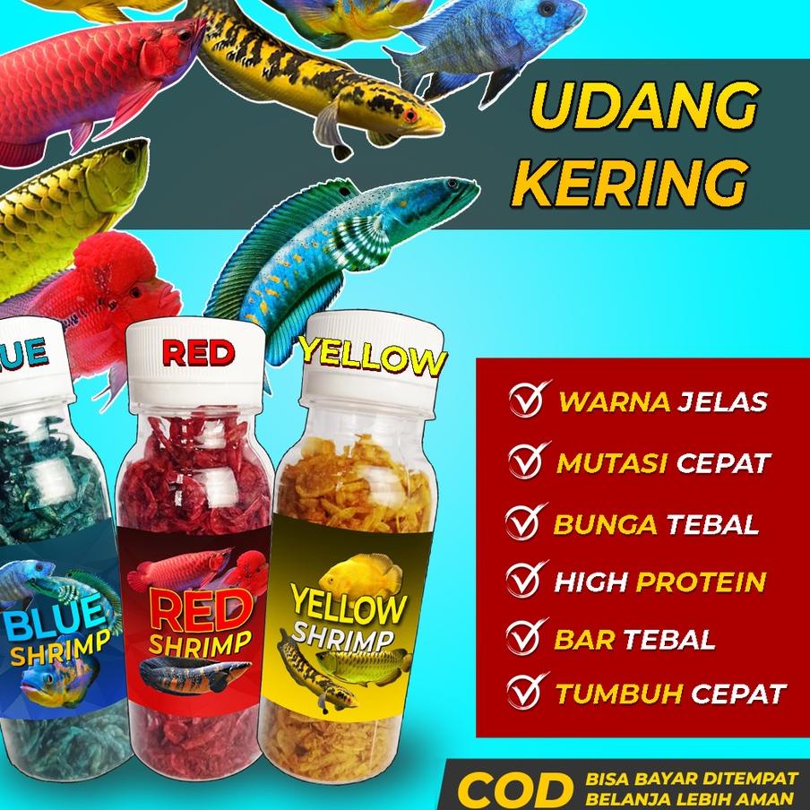 Berani Coba? Udang Kering Pakan Ikan Channa Maru Yellow Sentarum Auranti Limbata Pulchra Oscar Tiger