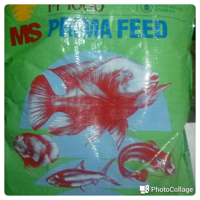 Pakan Makanan Benih Bibit Ikan Lele Nila Gurame Pelet PF 1000 1 Kg