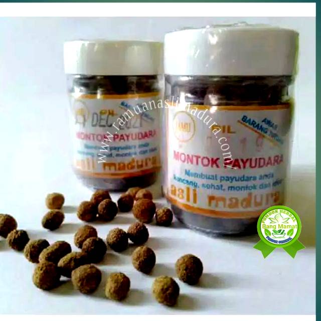 Jamu Montok payudara Jamu Madura Asli