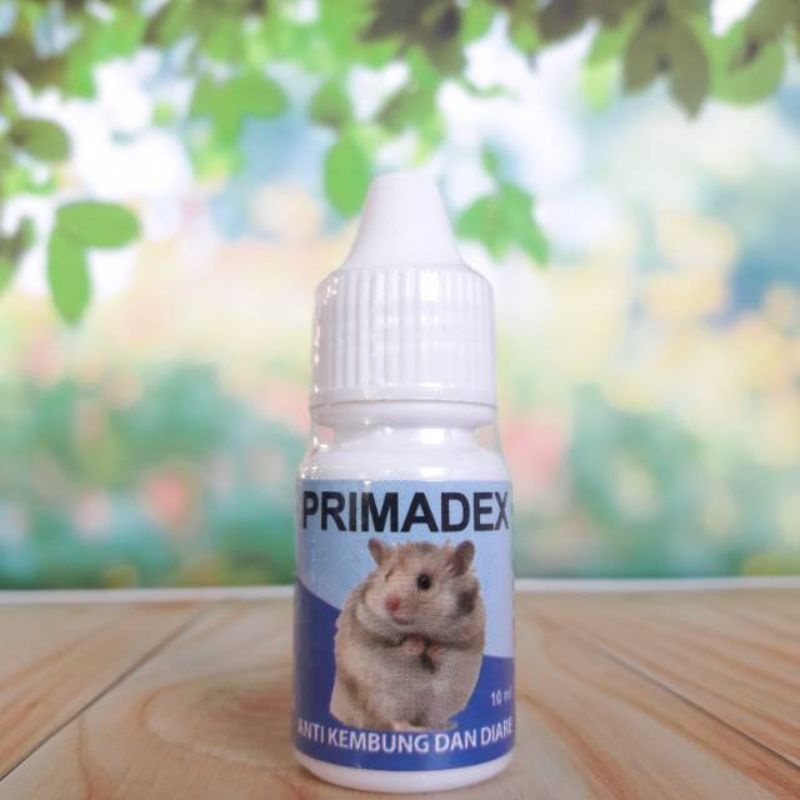 Primadex Obat Kembung dan Diare Hamster Wet tail