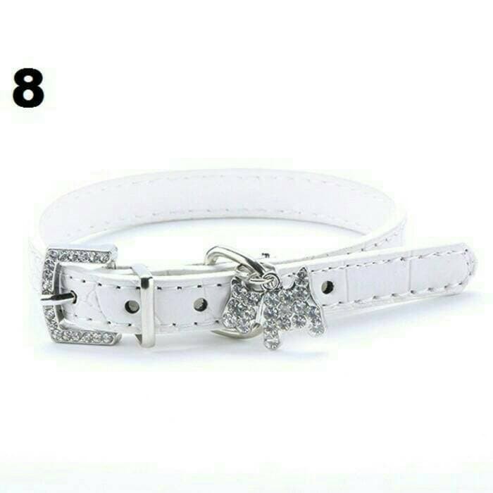 TERMURAH / kalung anjing kucing kalung hewan pet collar aksesoris hewan dog cat