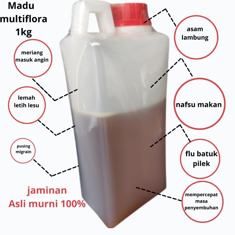 

Madu multiflora 1kg