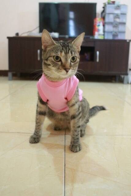 Kaos polos rip pink lucu untuk kucing &amp; anjing /Jual Baju Kucing Terlengkap &amp; Berkualitas size S-XL