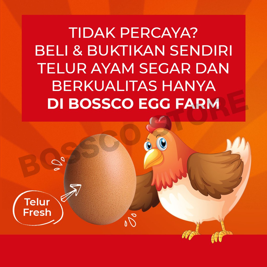 Telur Ayam Negri Langsung dari TERNAK AYAM Grade A segar fresh / telor ayam negri telur ayam 1 kg telur ayam per kg telur segar telur seger telur fresh telur ayam premium telor ayam premium telor organik telor omega telur organik telur omega berkualitas